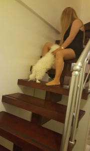 Samsun Eve Otele Gelen Oral Cimcif Eyşan