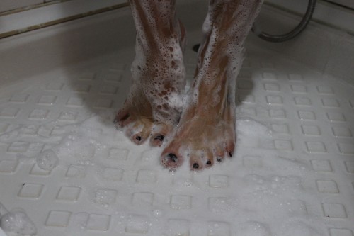 Samsun Otele Ve Rezidansa Gelen Gülümser